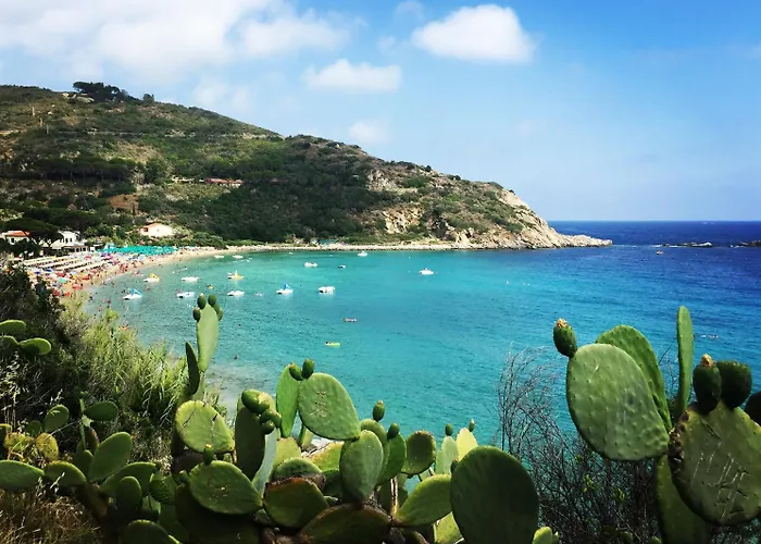 Resort Aviotel Marina di Campo